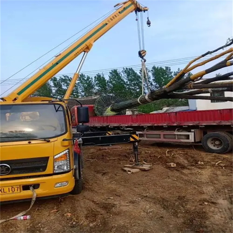 伍家岗100吨吊车租赁费用怎么算？3大关键因素+省钱技巧全解析